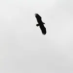 Mobile Im Mit Seezugang * Dabel
