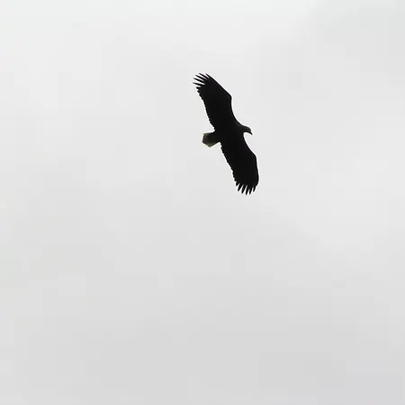 Mobile Im Mit Seezugang * Dabel